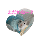 ぐぅちゃん・わぐちゃんスタンプ（個別スタンプ：6）
