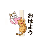 猫の日常で使える可愛いしぐさスタンプ（個別スタンプ：27）