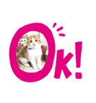 マンチカン日常会話(パピーランドシェリエ)（個別スタンプ：15）