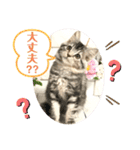マンチカン日常会話(パピーランドシェリエ)（個別スタンプ：31）