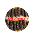 many times you can use！（個別スタンプ：2）