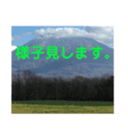 many times you can use！（個別スタンプ：6）