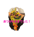 many times you can use！（個別スタンプ：13）