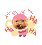 くぅちゃんスタイルPart3（個別スタンプ：5）