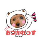 くぅちゃんスタイルPart3（個別スタンプ：7）