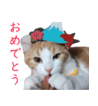 汎用性ばつぐん！とわちゃんとふうまん5（個別スタンプ：16）