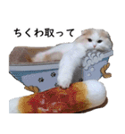 汎用性ばつぐん！とわちゃんとふうまん5（個別スタンプ：18）