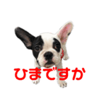 フレブルのもぐ（個別スタンプ：4）