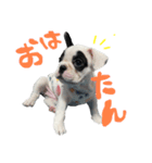 フレブルのもぐ（個別スタンプ：16）