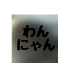 撮り鉄誤字＆名言集2（個別スタンプ：7）