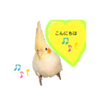 オカメちゃん♪その①（個別スタンプ：3）