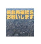 空と雲と景色と大文字。（個別スタンプ：11）