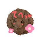 hamucute（個別スタンプ：4）
