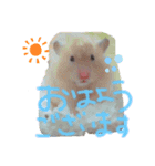 hamucute（個別スタンプ：7）