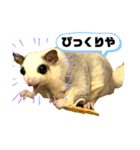 大阪弁 フクロモモンガうねちゃん（個別スタンプ：1）