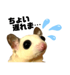 大阪弁 フクロモモンガうねちゃん（個別スタンプ：7）