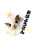 大阪弁 フクロモモンガうねちゃん（個別スタンプ：11）