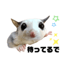大阪弁 フクロモモンガうねちゃん（個別スタンプ：19）