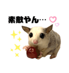 大阪弁 フクロモモンガうねちゃん（個別スタンプ：20）