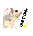 大阪弁 フクロモモンガうねちゃん（個別スタンプ：22）