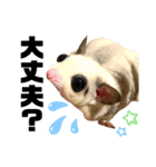 大阪弁 フクロモモンガうねちゃん（個別スタンプ：23）