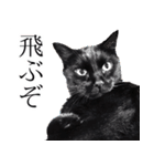 怪傑黒猫おはぎ 参上！（個別スタンプ：10）