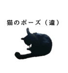 怪傑黒猫おはぎ 参上！（個別スタンプ：12）