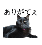 怪傑黒猫おはぎ 参上！（個別スタンプ：14）