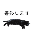 怪傑黒猫おはぎ 参上！（個別スタンプ：17）