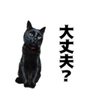 怪傑黒猫おはぎ 参上！（個別スタンプ：21）