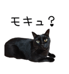 怪傑黒猫おはぎ 参上！（個別スタンプ：25）