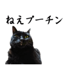 怪傑黒猫おはぎ 参上！（個別スタンプ：32）