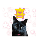 怪傑黒猫おはぎ 参上！（個別スタンプ：36）