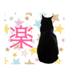 怪傑黒猫おはぎ 参上！（個別スタンプ：39）