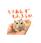 ジャンハム むくげのスタンプ（個別スタンプ：17）