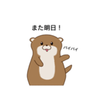 KK otters（個別スタンプ：3）