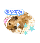けんちゃんのキモチ（個別スタンプ：2）