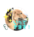 けんちゃんのキモチ（個別スタンプ：5）