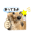 けんちゃんのキモチ（個別スタンプ：8）