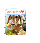 けんちゃんのキモチ（個別スタンプ：12）