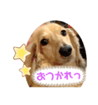 けんちゃんのキモチ（個別スタンプ：16）