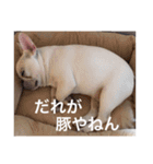 わろたの笑ろたスタンプ（個別スタンプ：1）