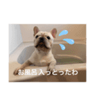 わろたの笑ろたスタンプ（個別スタンプ：8）