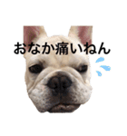 わろたの笑ろたスタンプ（個別スタンプ：15）