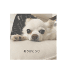 くうとみゆう（個別スタンプ：1）
