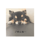 くうとみゆう（個別スタンプ：2）