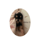 くうとみゆう（個別スタンプ：3）