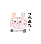 もちまるこちゃん（個別スタンプ：3）