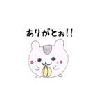 もちまるこちゃん（個別スタンプ：37）