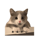ムロとウリ②（個別スタンプ：3）